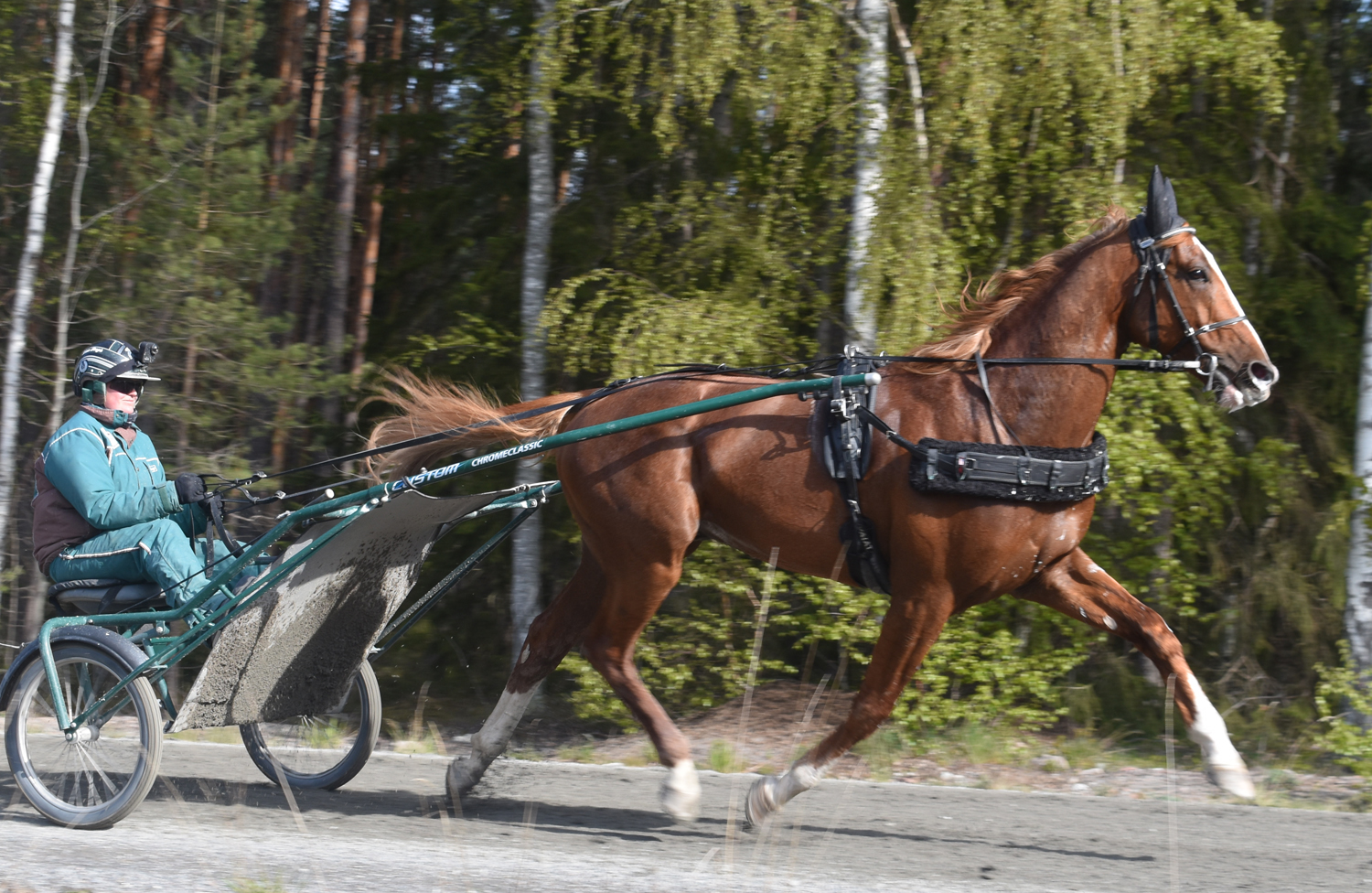 Alone får förhoppningsvis börja backträningen snart igen. Foto; A.Lindblom